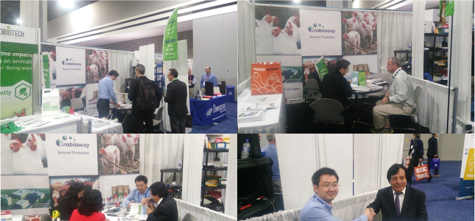 展會IPPE 2017.jpg